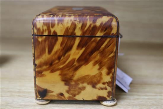 A tortoiseshell tea caddy